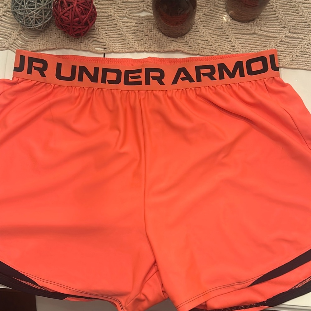 Bnwot shorts ! Size xxl